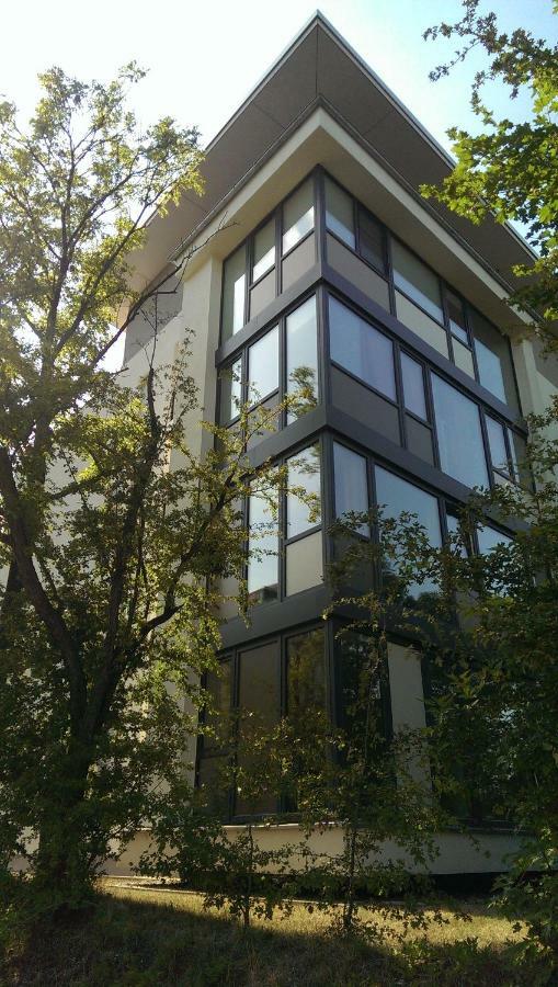 Ruhiges Einzelappartement An Tud & Stadtzentrum เดรสเดน ภายนอก รูปภาพ